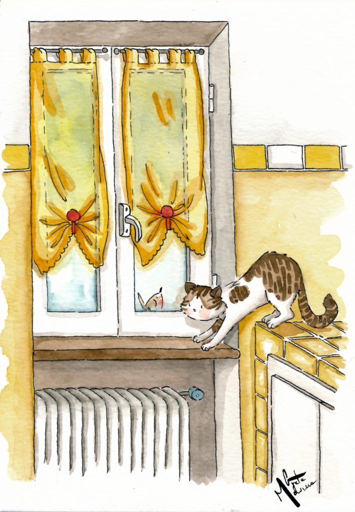 La gattina e il pettirosso