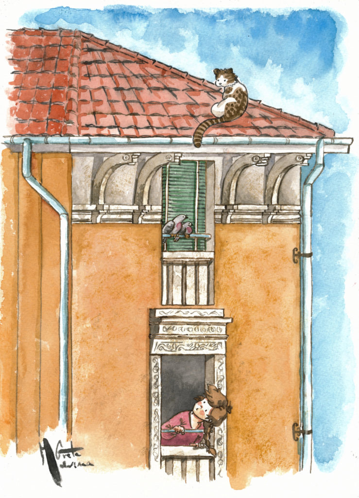 la gattina dispettosa2